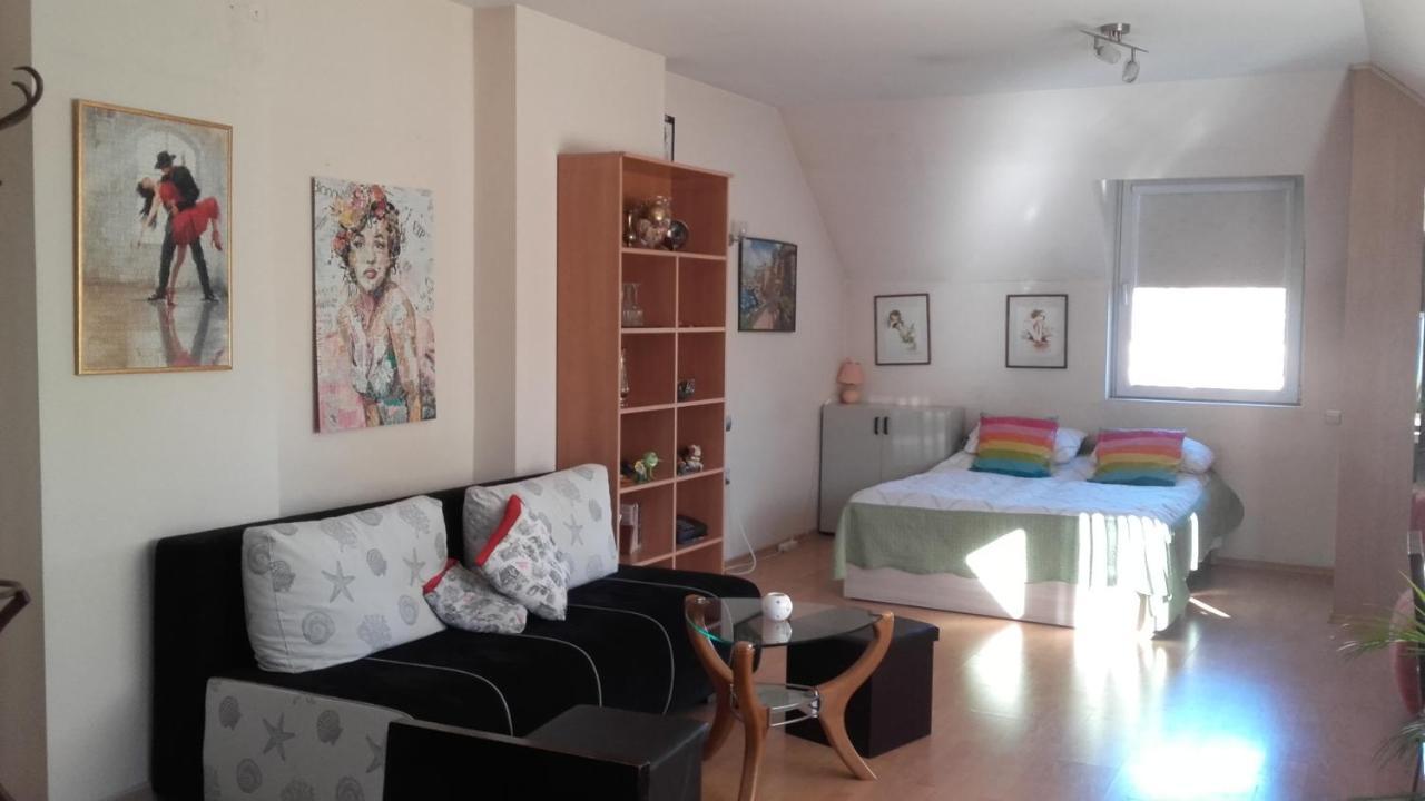 Central Park Studio Plovdiv Buitenkant foto